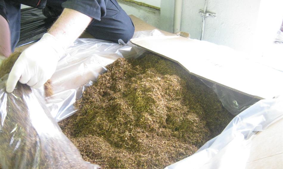 2012-3-6-1512tabák (13).JPG